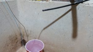 Waste water hose draining into cup (the cup with the two wires, sitting in the slop sink).