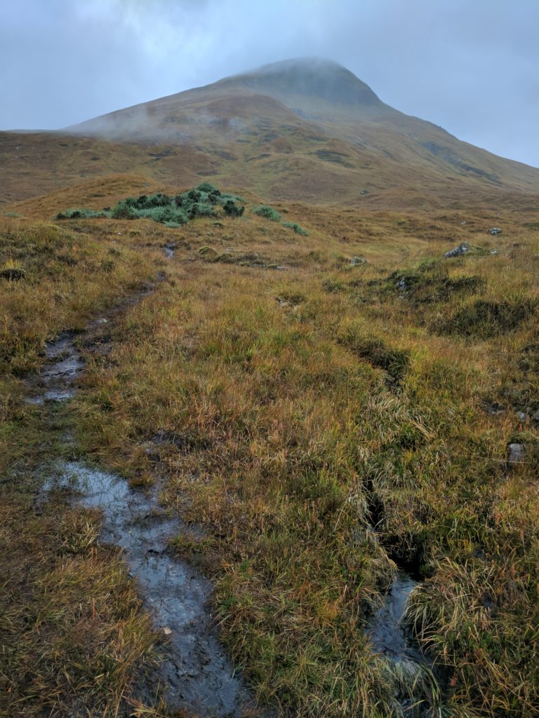 Rest stops in the highlands are beautiful.  I'm certain I could just walk out across this field and up that very large hill-mountain.  Nobody would bother me or stop me.  My feet would get soaked, but I could do it.